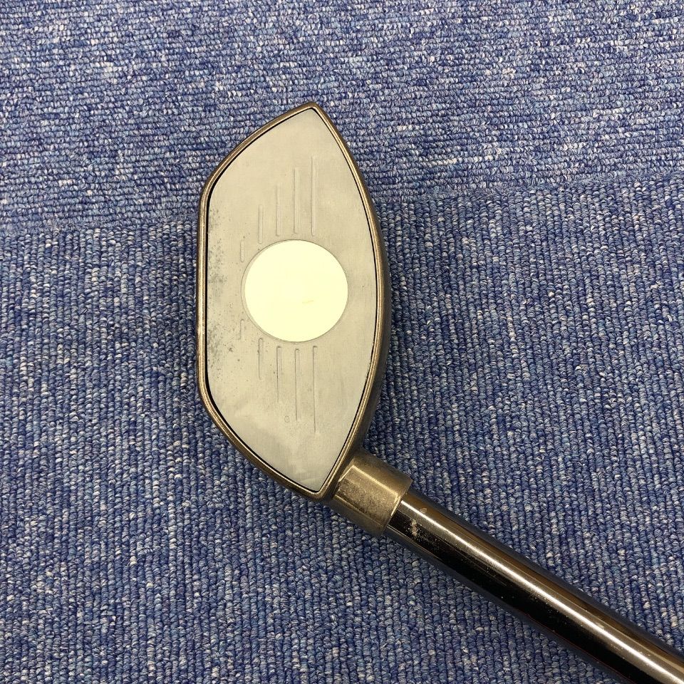 ゴルフの堅琴 アナライズ ゴルフ練習 マーク金井 スイング練習 ゴルフ