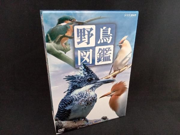 DVD 野鳥図鑑 DVD-BOX NHK (4枚組)