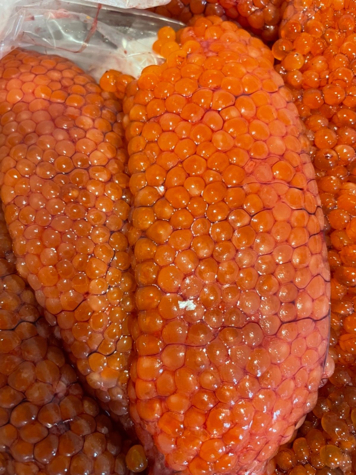 お待たせ 新物 北海道産秋鮭生筋子 1kg