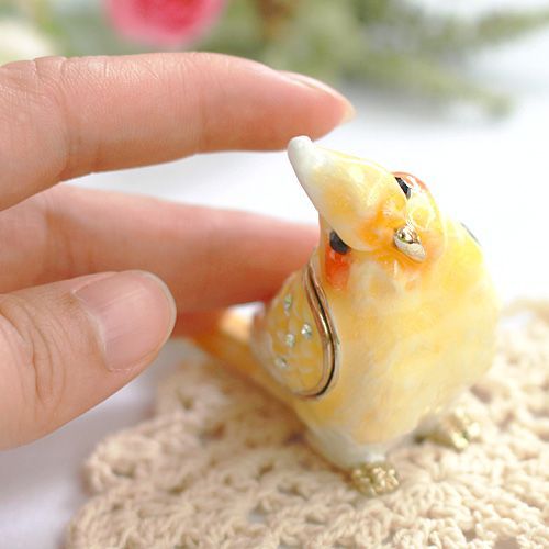 専用 ブラックストライプ錦 おまとめ確認用！ インドネシア多肉