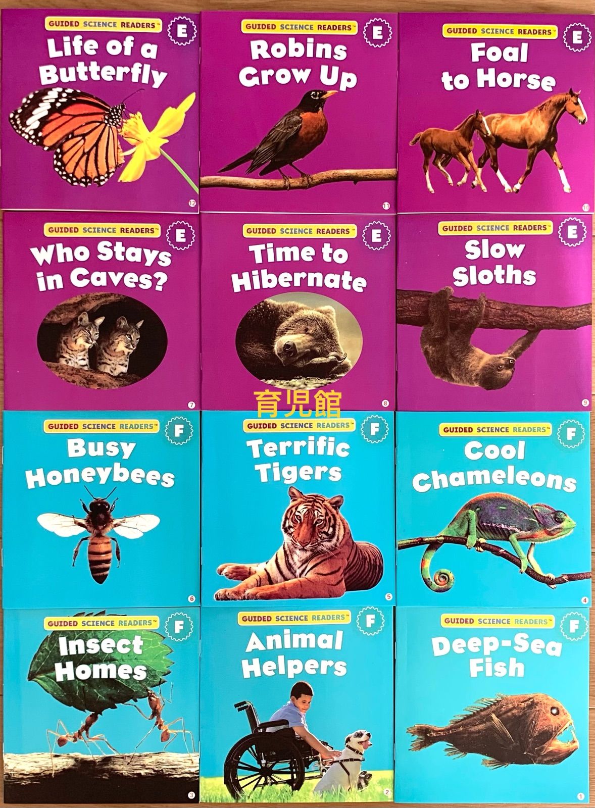 Guided Science Readers CDなしマイヤペン 対応