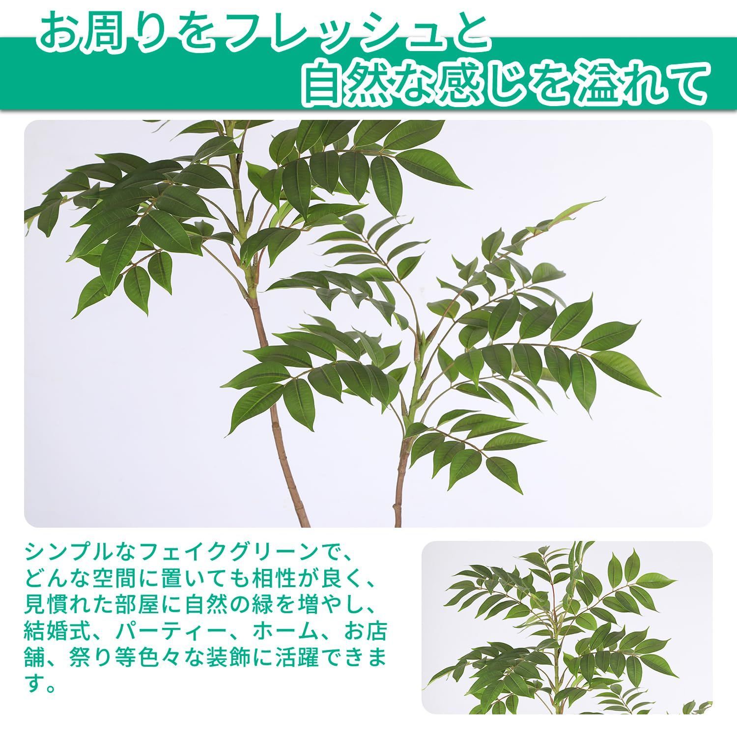 観葉樹 消臭