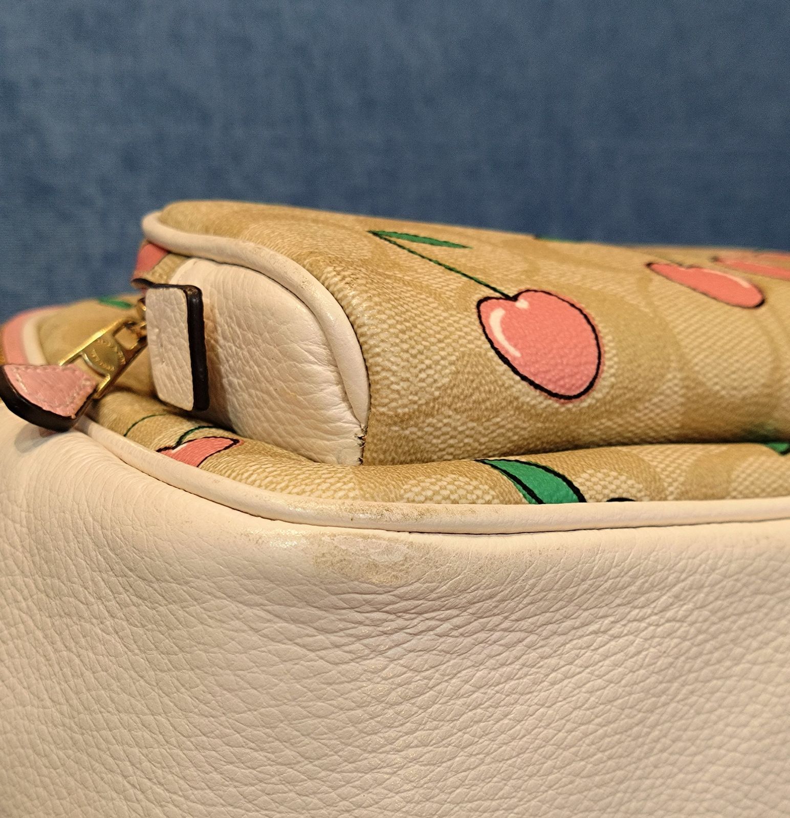 ☆2089 可愛い！ COACH コーチ リュック バックパック シグネチャー 