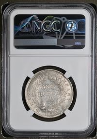 カルカッタミント NGC