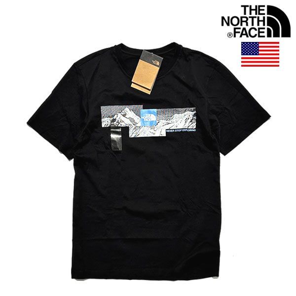 ザ・ノース・フェイス USAモデル メンズ ロゴ Tシャツ THE NORTH
