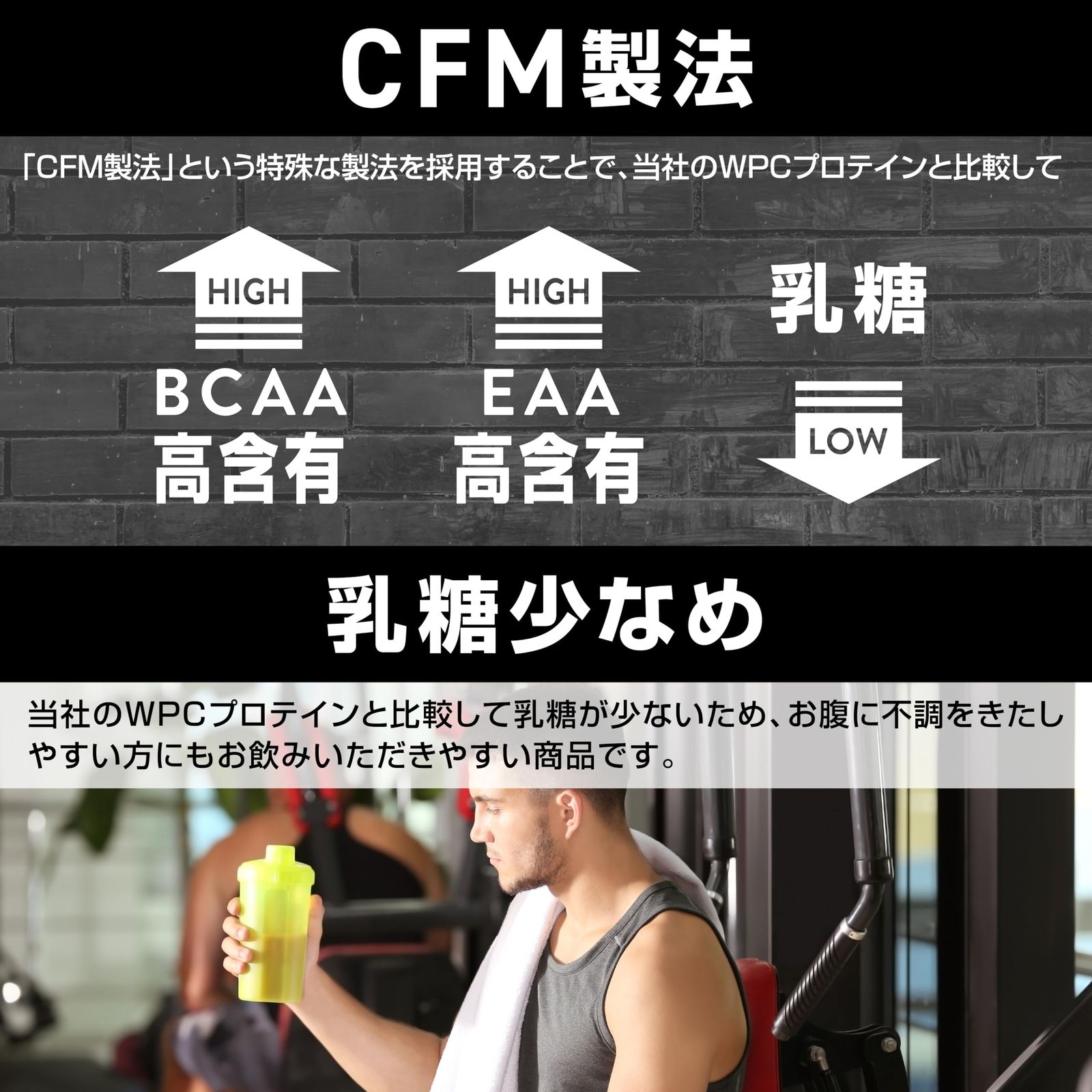 WPI プロテイン 3kg ホエイプロテイン フルーツミックス風味 CFM製法 