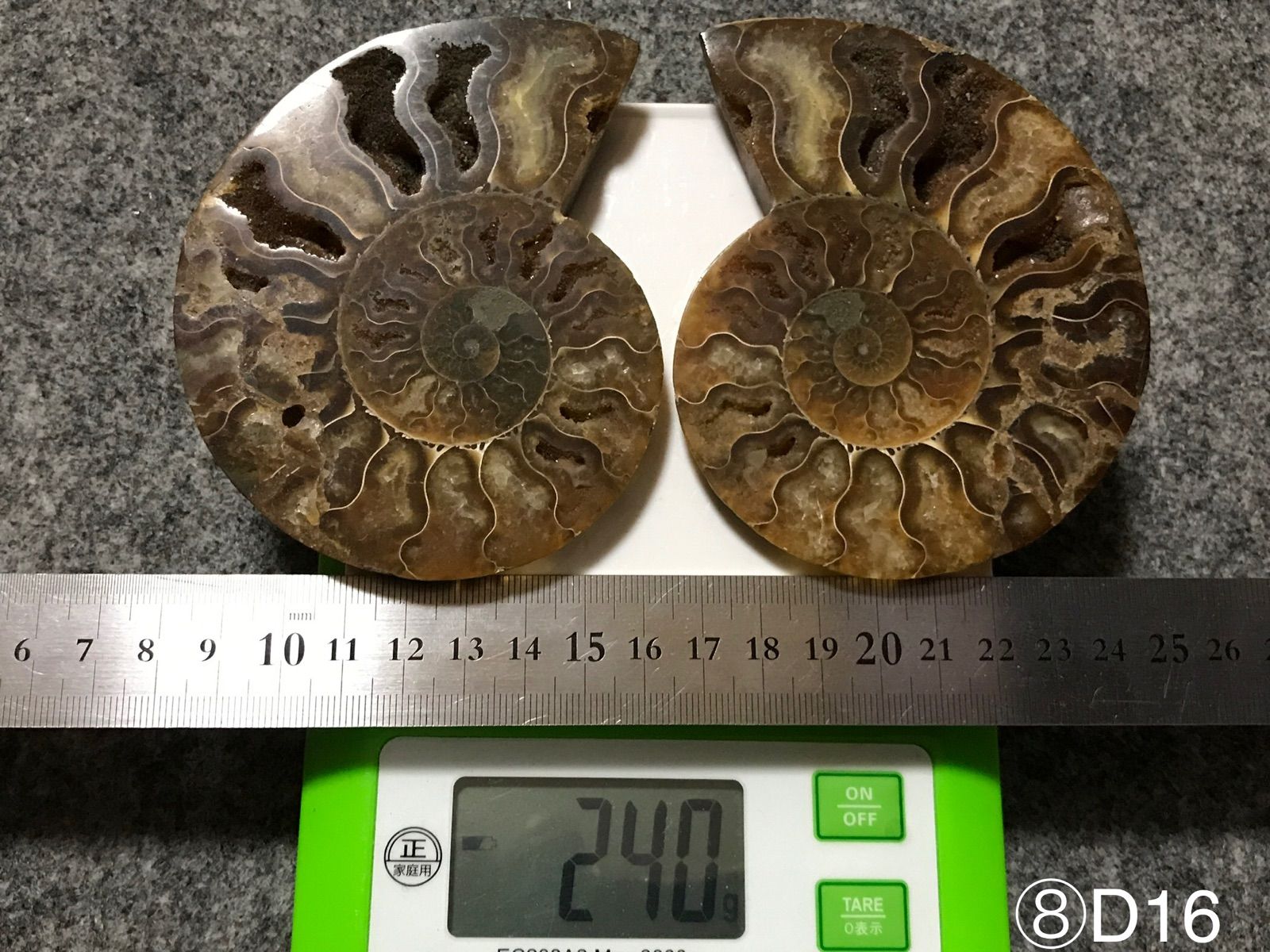 アンモナイト化石　ハーフカット　ペア　マダガスカル アンモナイト化石 ハーフカット ペア マダガスカル アンモナイト化石