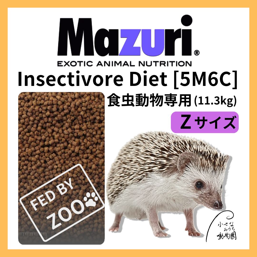 ハリネズミ