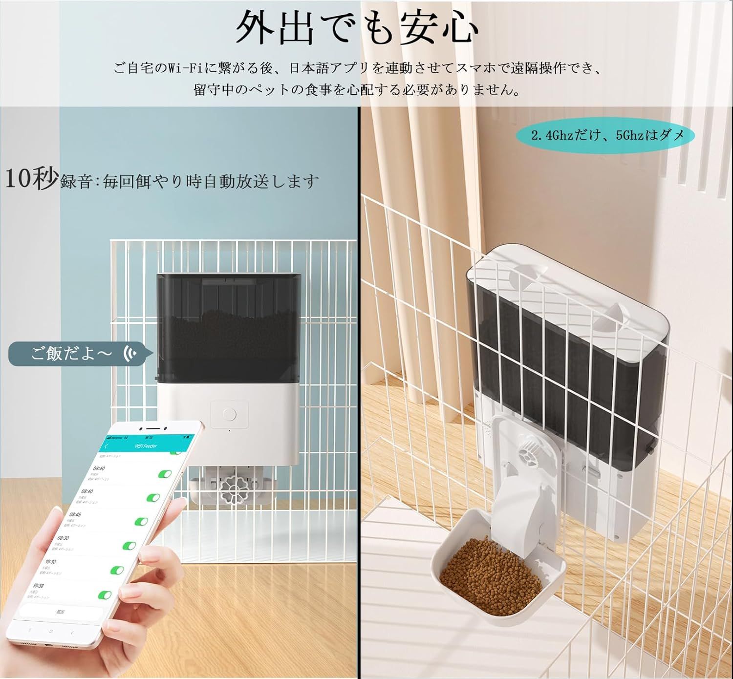 小型犬 猫