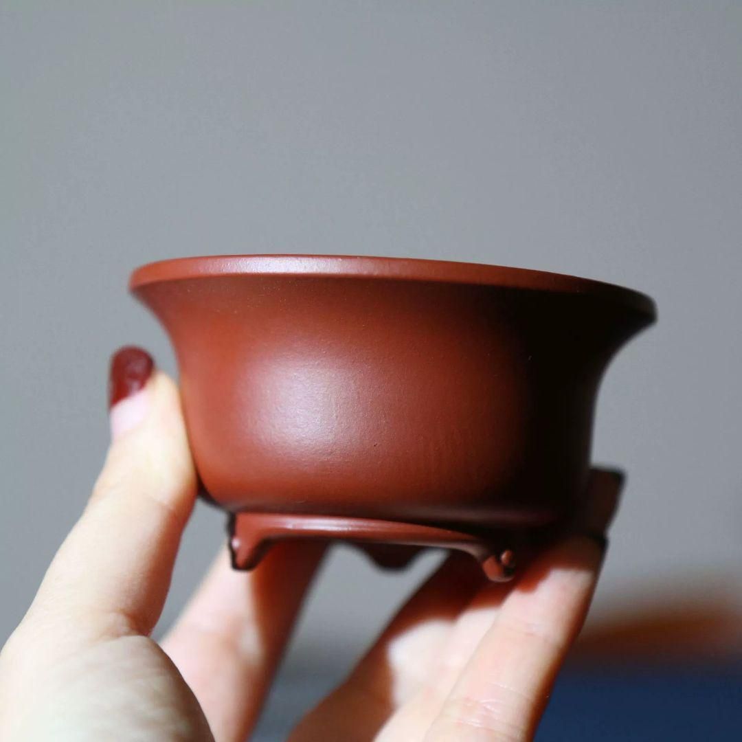 緑紋六角鉢 盆栽鉢 植木鉢 小品盆栽鉢 大品盆栽鉢 多肉植物