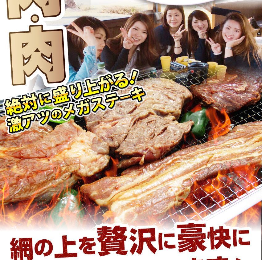 牛肉肉ステーキ＆焼肉BBQギガ盛り3kg超福袋肉祭りセットタレハサミトングトレー付きギフト食品キャンプキャンプ飯