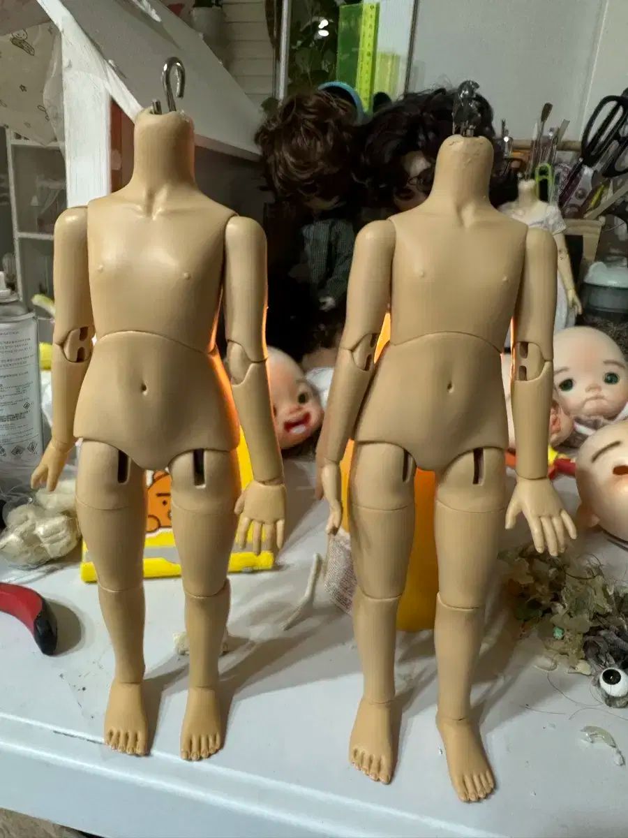 パンデイロ CONTEMPORANEA PDMV105CT ケース キー付き Amazon