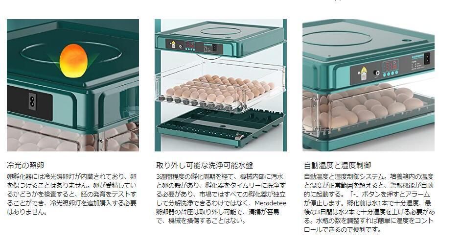 鶏卵 アヒル