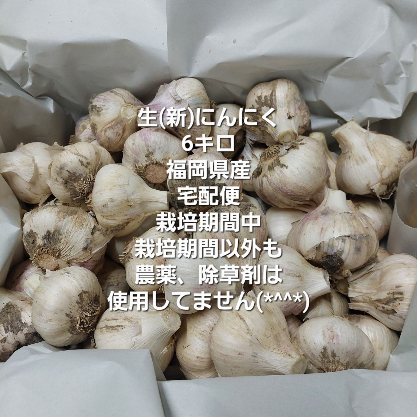 令和5年産 無農薬 バラにんにく 1kg ニンニク - 野菜