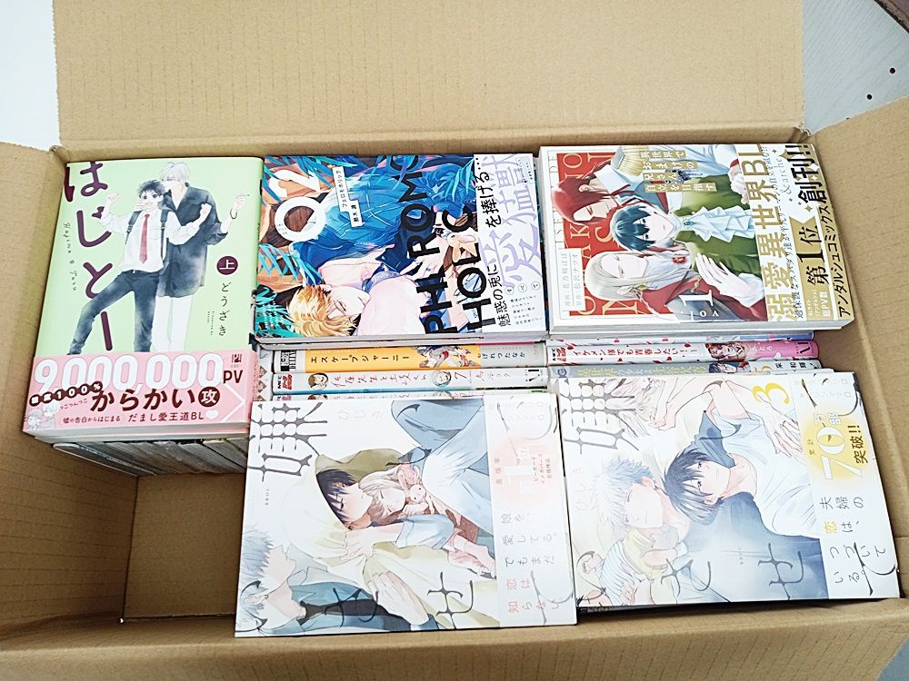 BL   いろいろ　　58冊 BL いろいろ 58冊
