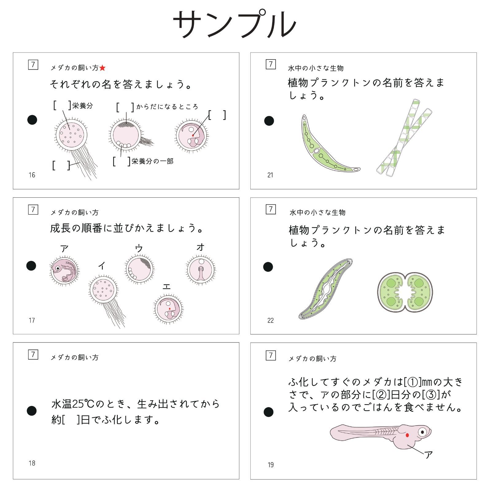 中学受験 生物マスター マスターシリーズ② 暗記カード - メルカリ