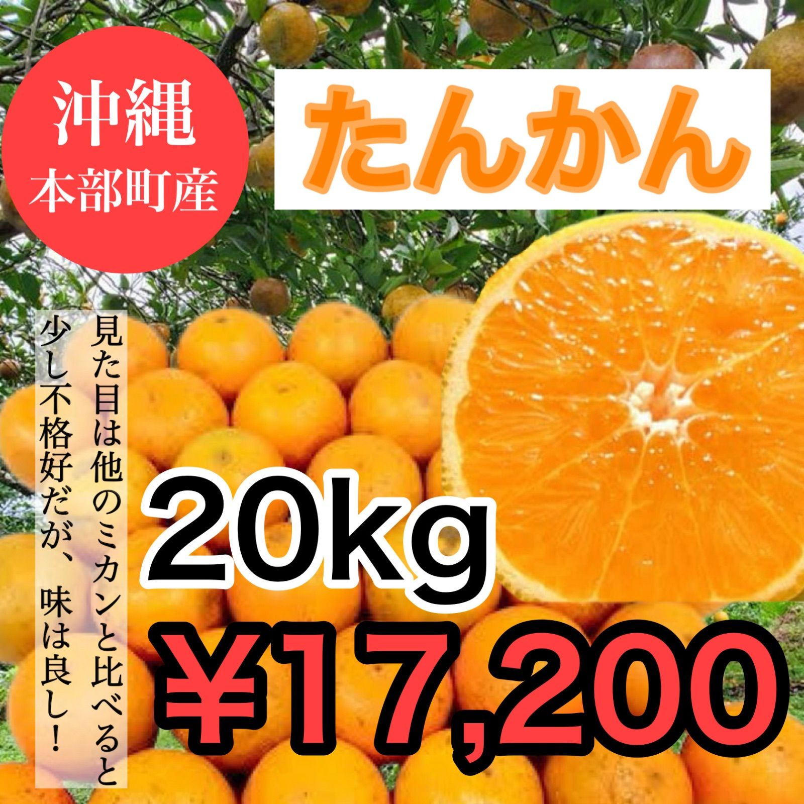 たんかん20kg家庭用 【公式通販】