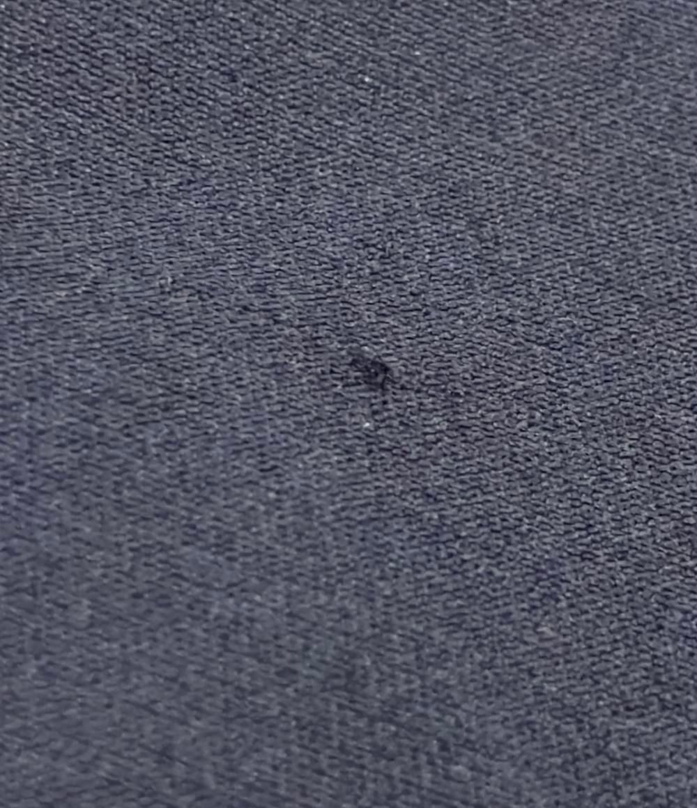 美品 ケイナリタ シルクウールショートパンツ レディース SIZE 36 (S