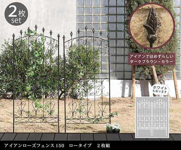 2枚セット
