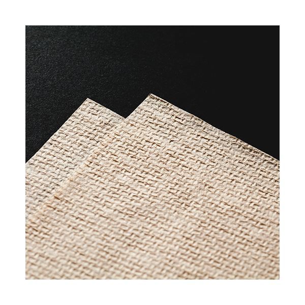 まとめ 大王製紙 エリエールペーパータオルスマートタイプ 無漂白シングル 小判 ×