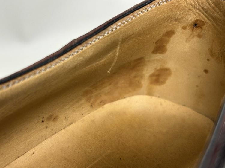 オーストリッチ 39