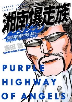 権田二毛作 アオシマ 1/12 湘南爆走族