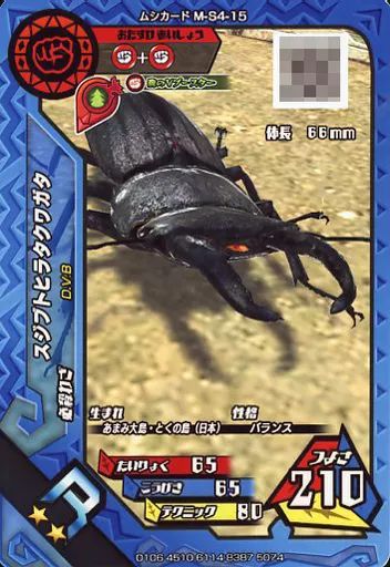 【ARS鑑定品】ムシキング　スジブト(スジブトヒラタクワガタ) ARS7 Amazon.co.jp: スジブト（スジブトヒラタクワガタ） ムシキング
