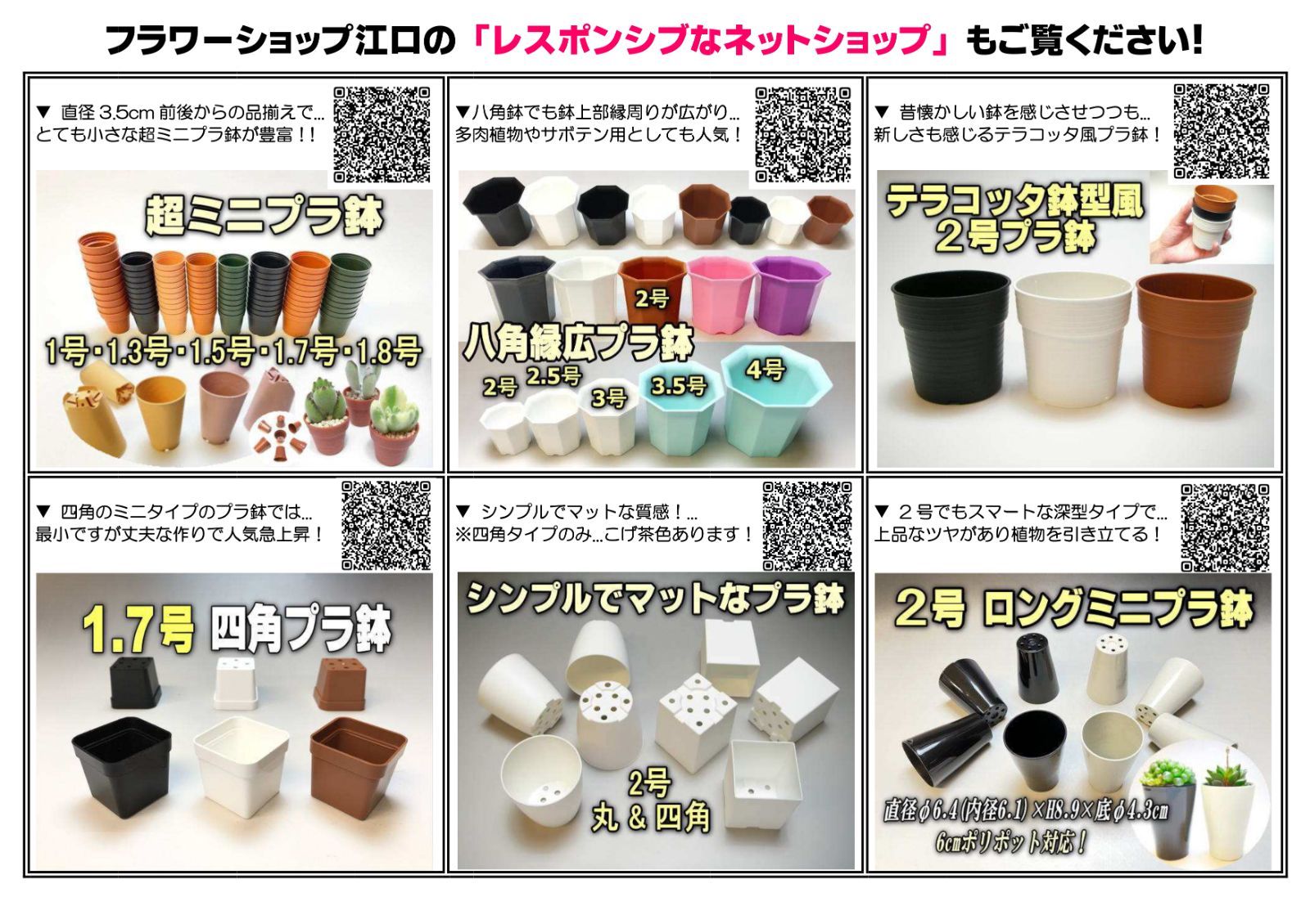 赤と緑の多肉植物 四角形の鉢付き*3 セダム：虹の玉3号ポット 3株セット の通販 | 園芸ネット