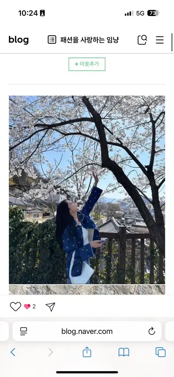 京都 ジャケット