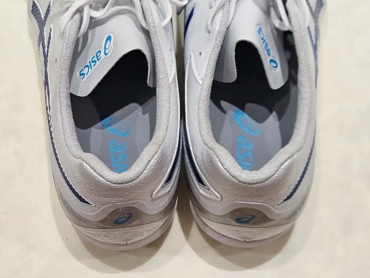 DS