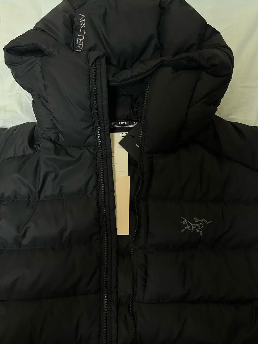 ARC TERYX アークテリクス トリウム フーディー パーカー ブラック L