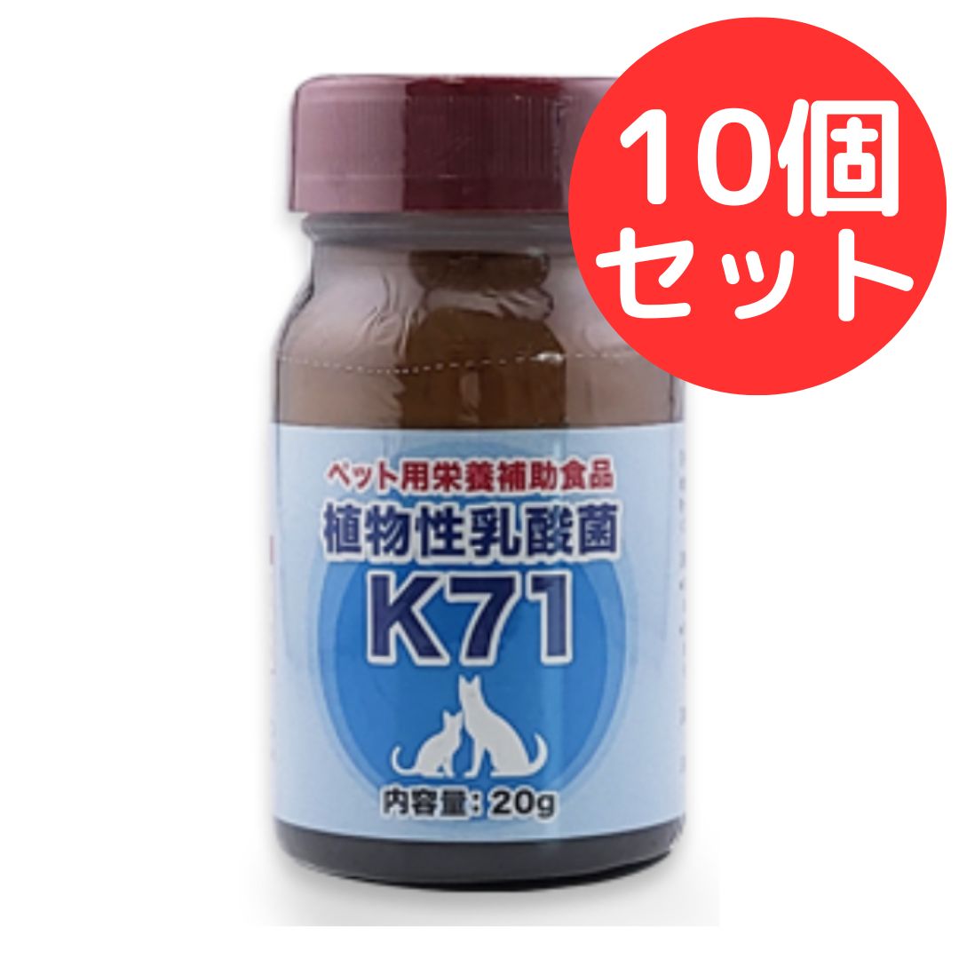 植物性乳酸菌 K-71 20g 10個セット プランシュール