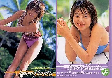 希少 井川遥 カード