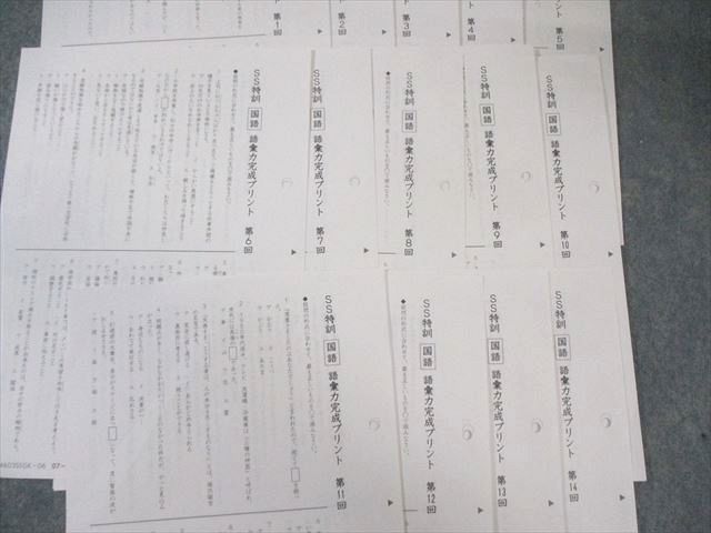 サピックス SAPIX 小6 SS特訓 国語 理科 語彙力完成プリント 第1～8回