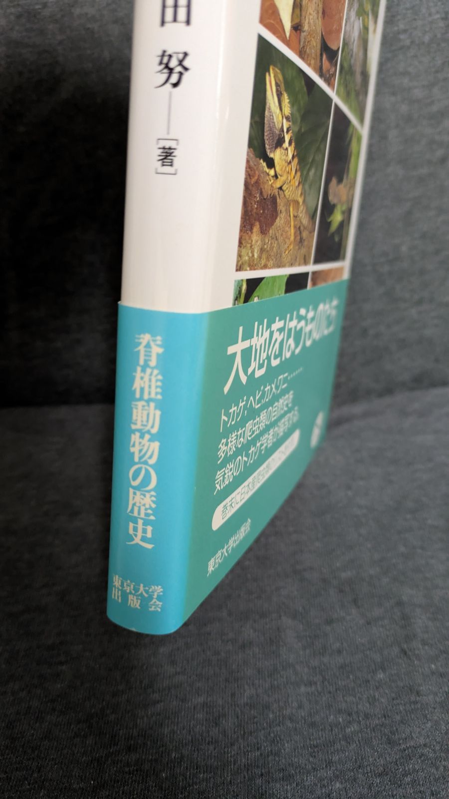 爬虫類の進化/東京大学出版会/疋田努（単行本） 爬虫類の進化 (Natural History) (疋田努/東京大学出版会) 【公式通販】