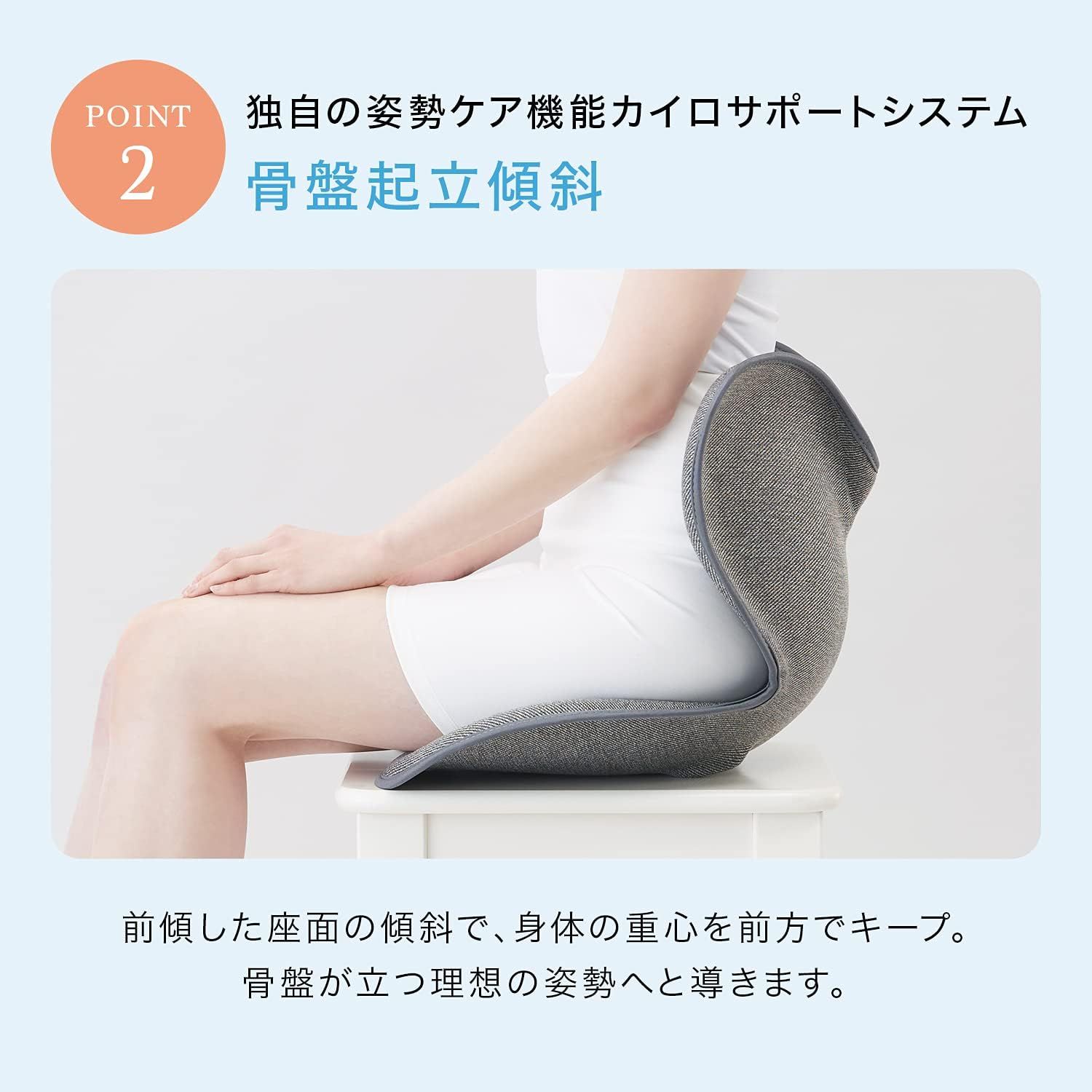 Style スタンダード 座椅子 MTG 純正品 姿勢矯正 F01 ネイビー