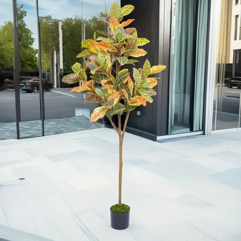 観葉植物