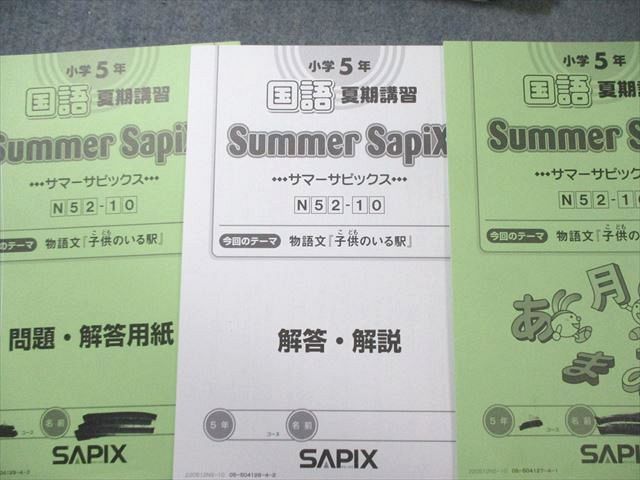 SAPIX 小5 サピックス デイリーA/B/サマー 国語 通年セット 【計