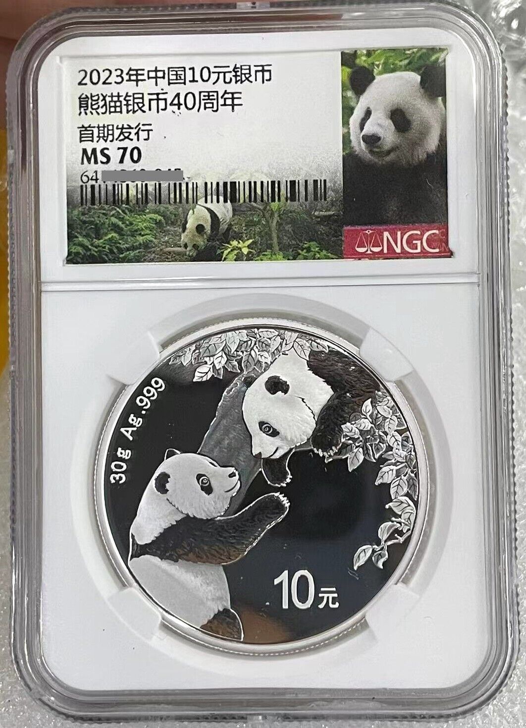 NGC MS70 2025 China Panda Silver Coin 30g First Releases Green Panda Label