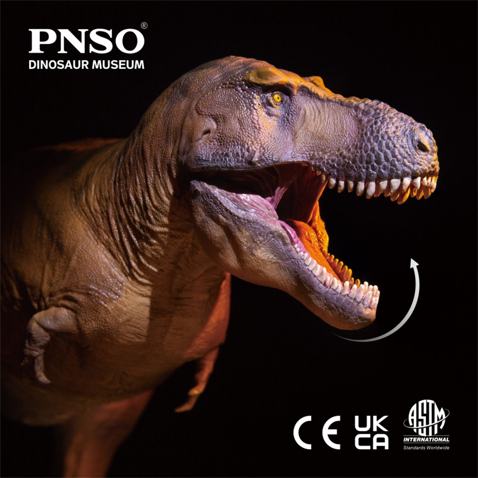 PNSO 恐竜博物館 1/35 サイズ ティラノサウルス T-REX フィギュア キャメロン 35cm級 頭蓋骨付属 口開閉可能 塗装済 肉食 恐竜  リアル PVC おもちゃ 科学 芸術 模型 恐竜好き プレゼント プレミアム スタチュー - メルカリ