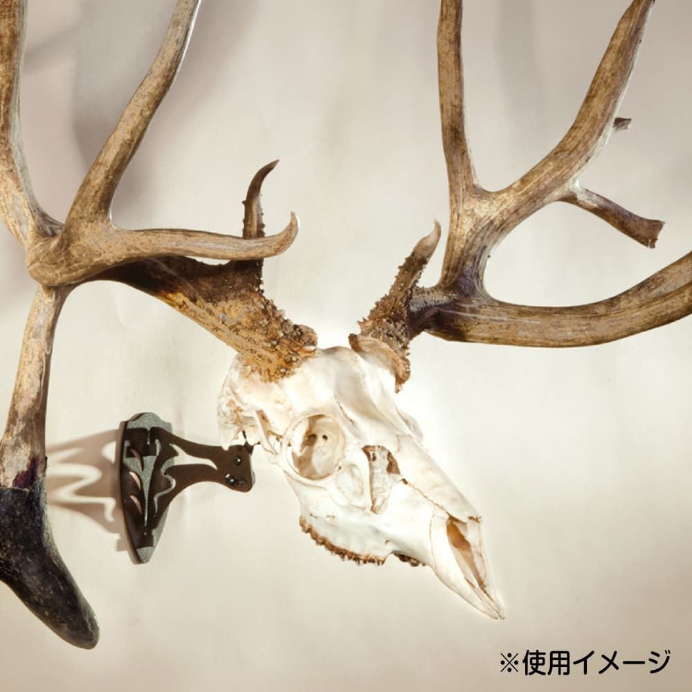 【希少品・美品】羊　角　ハンティングトロフィー　スカルヘッド　頭骨 ハンティングトロフィー オブジェ 壁掛けインテリア 動物の頭 羊の頭