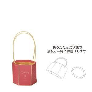 【新品・3営業日で発送】ケー・イー・アイ アベイユメゾンバッグ L／M (5426-B-RD)【入数:25】