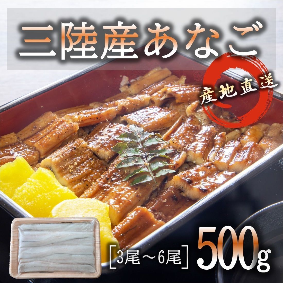 三陸産 あなご 500g  国産 大きさと脂のりが別格 蒲焼 白焼き 天ぷら等々