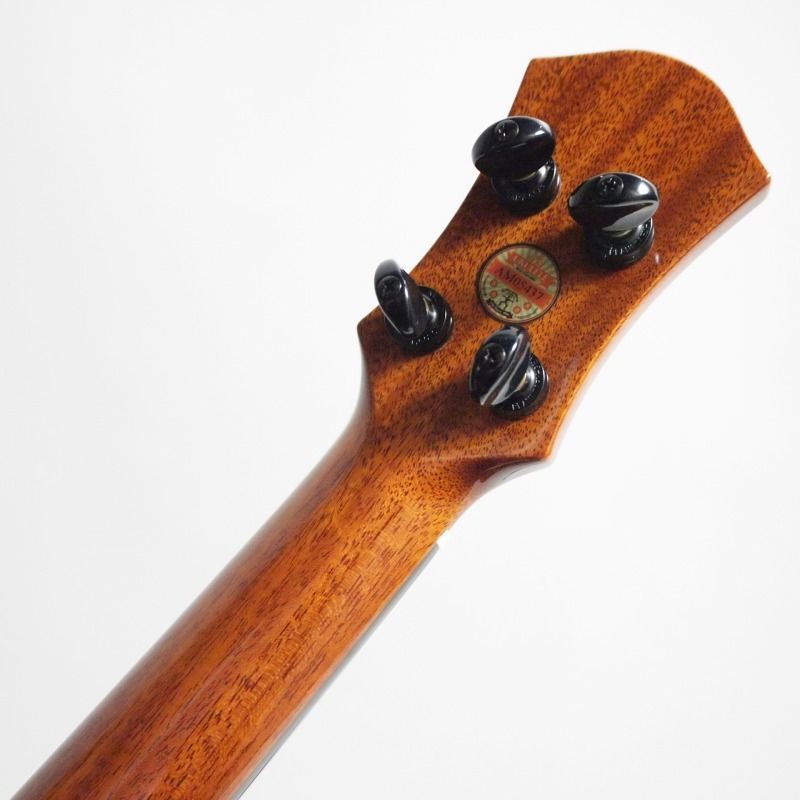 Solid2A Hawaiian
