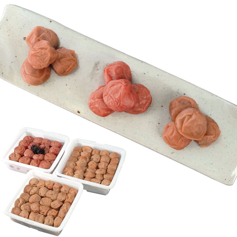 有田焼福泉窯染付け干支皿蛇 干支 へび