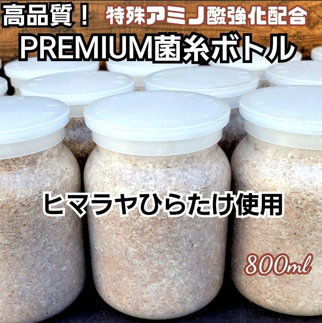 上 ヒマラヤひらたけ菌糸瓶