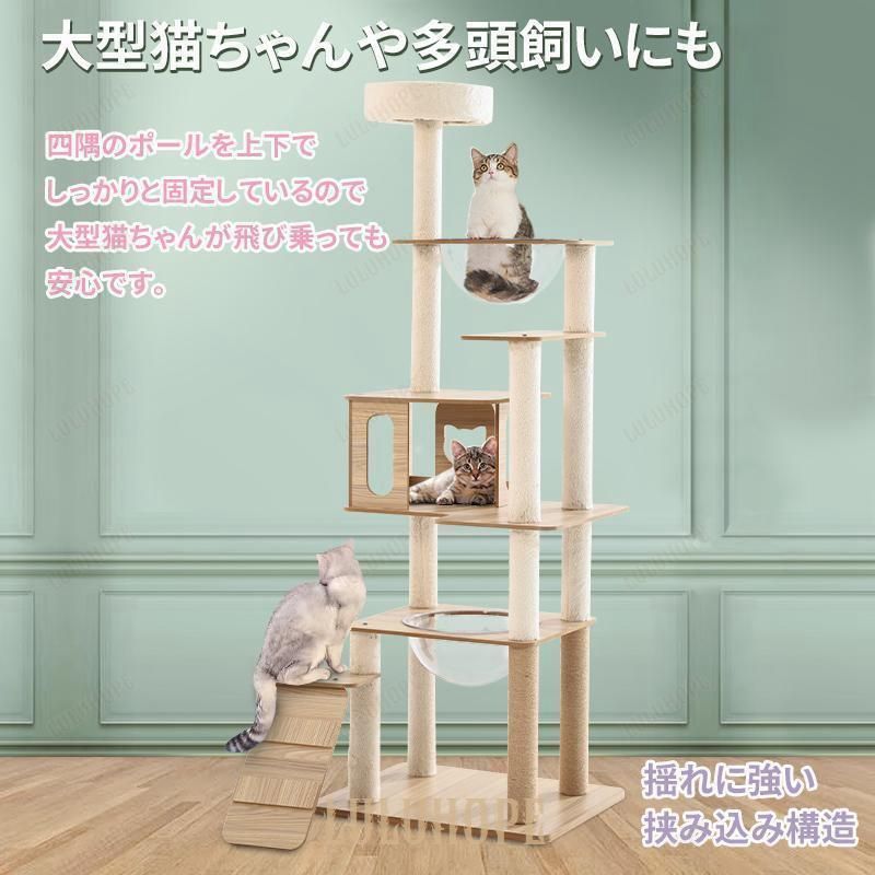 爪とぎ 二年保証