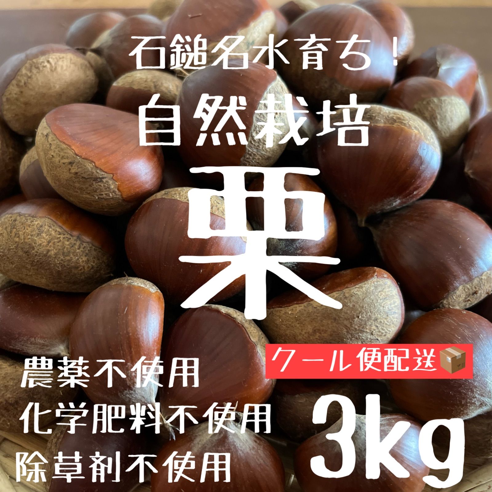 MARIA 農薬不使用生栗 茨城県産 農薬不使用生栗 サイズ、量 MARIA 農薬不使用生栗 茨城県産 農薬不使用生栗 サイズ、量