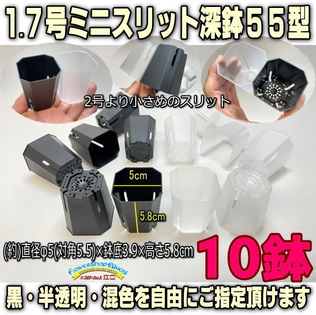 プレステラ75型より小さな1.7号ミニスリット深鉢55型(スリット鉢)☆高