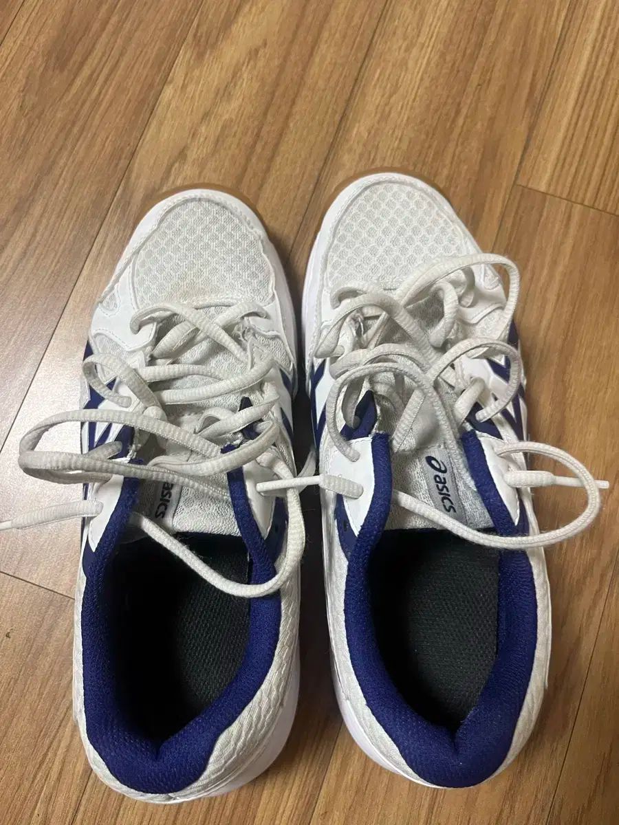 バレーボールシューズ 230